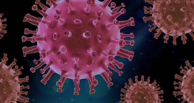 immune health and immune system support in Loxahatchee, FL